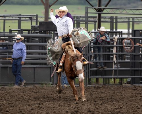 Image taken by Tara Fredricks