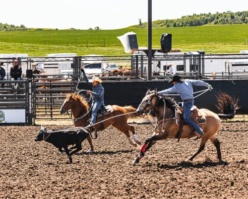 Twin Buttes Rodeo 2024 Taken by Nevaeh Quarry