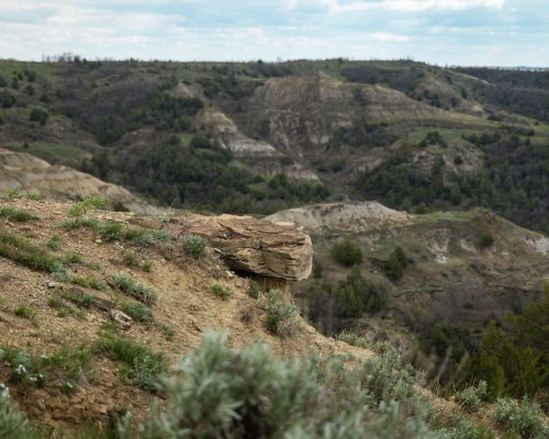 Taken by Nevaeh Quarry