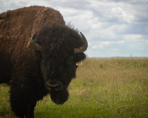 Taken by Nevaeh Quarry